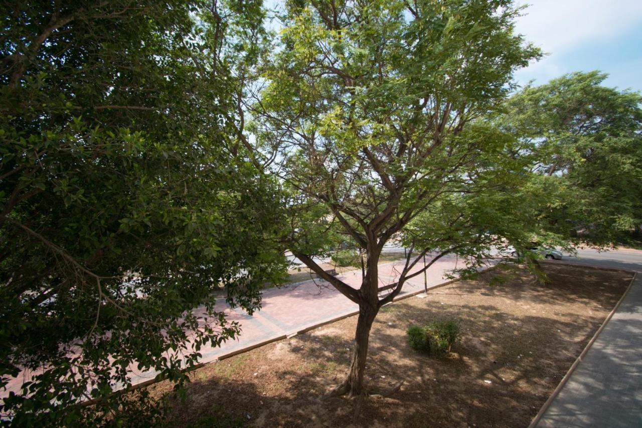 113 Beach And Trees - Alicante Holiday Torrevieja Dış mekan fotoğraf