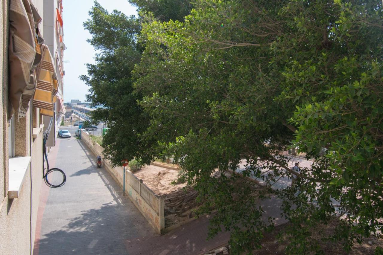 113 Beach And Trees - Alicante Holiday Torrevieja Dış mekan fotoğraf